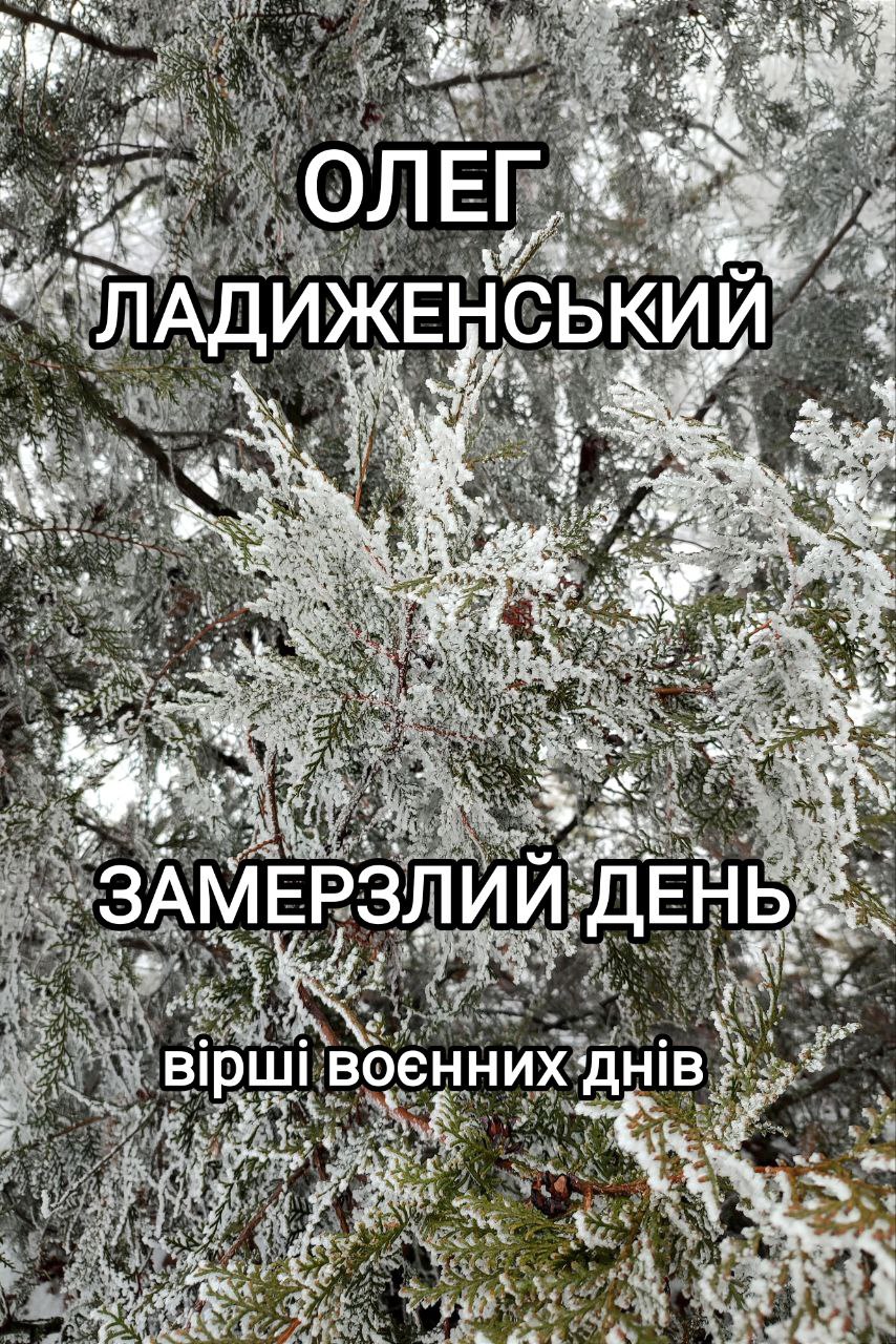 Замерзлий день